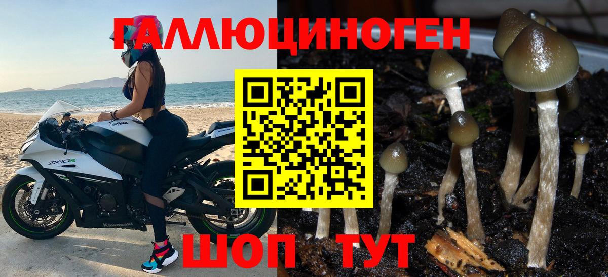 Галлюциногенные грибы мицелий Похвистнево