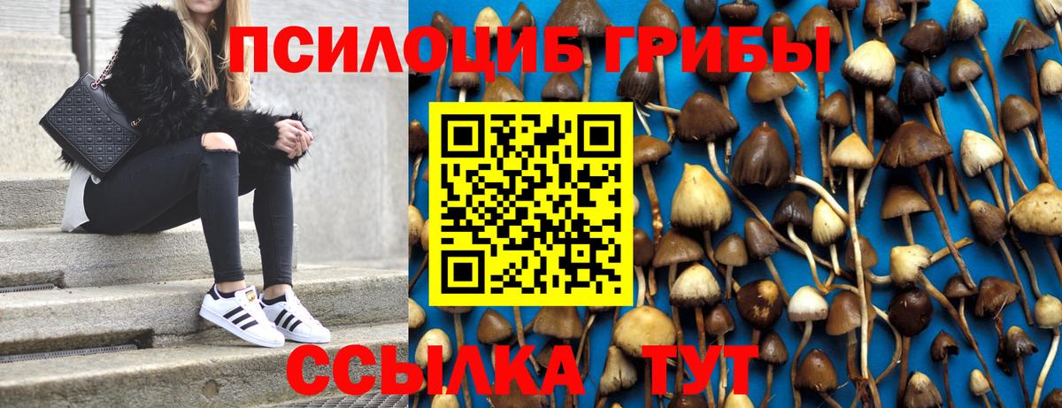 Галлюциногенные грибы Psilocybe  Псилоцибиновые грибы мицелий  Вход с VPN  Похвистнево 